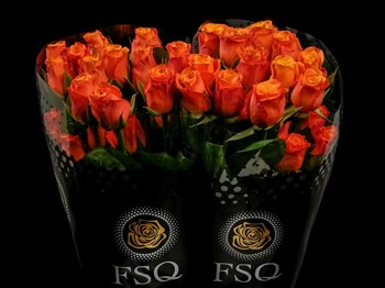 ROSE CONFIDENTIAL 40